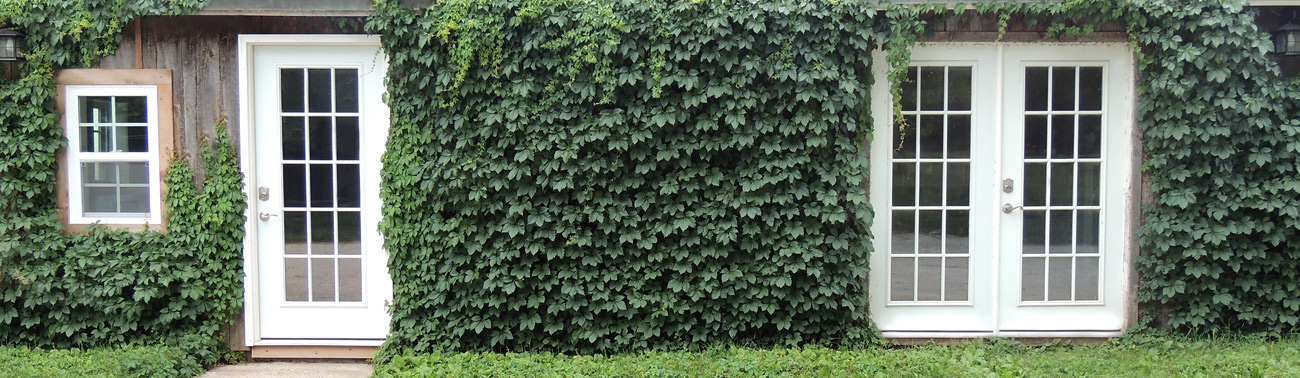 Feature Image for About Chinchillas.com